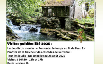 Eté 2025 : Les Jeudis du moulin : « Remontez le temps au fil de l’eau ! » Profitez de la fraîcheur des cascades de la rivière !